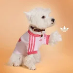 Adidas-Originals-Pets-2025-0-2-jpg.webp.webp