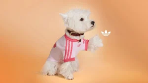 Adidas-Originals-Pets-2025-0-2-jpg.webp.webp