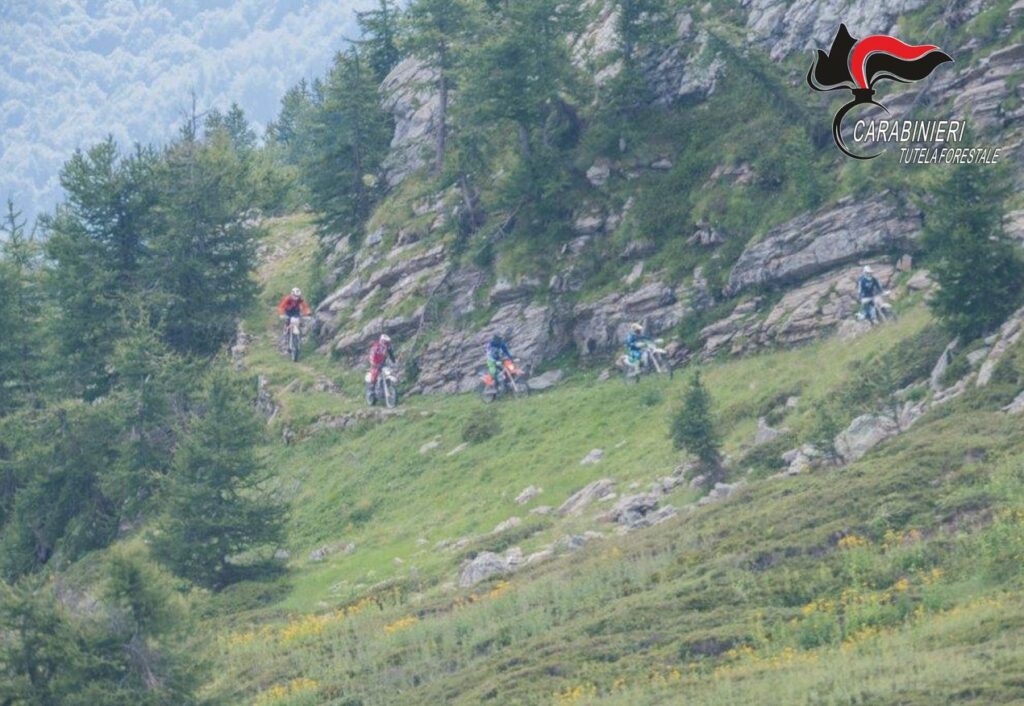 ENDURISTI-IN-ALTA-VAL-TANARO.jpg