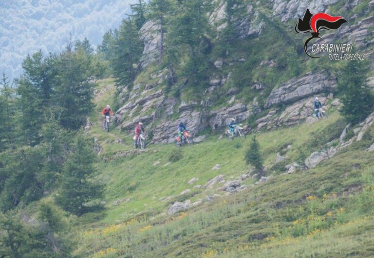 ENDURISTI-IN-ALTA-VAL-TANARO.jpg