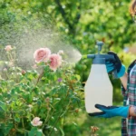 homemade-spray-plants-2-900x600.webp.webp