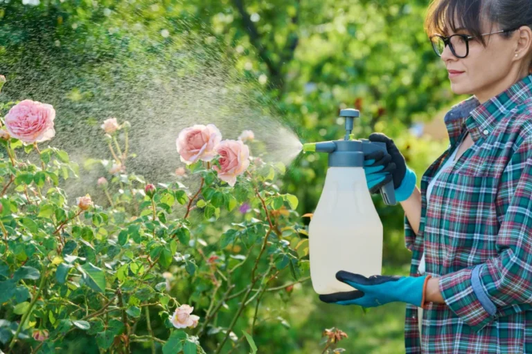 homemade-spray-plants-2-900x600.webp.webp